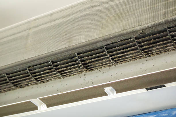 Best HVAC Duct Inspection Services  in Clyde, OH